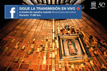 peregrinacion basilica_en_vivo_facebook-01.jpg